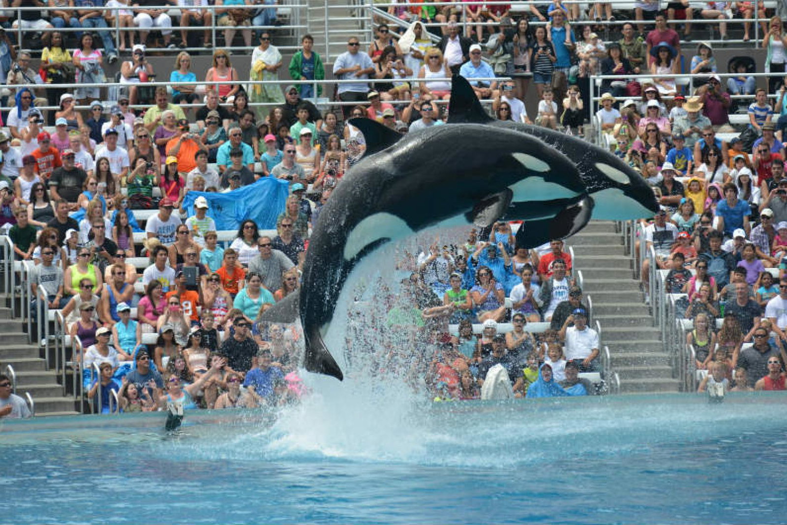 SeaWorld: 'Millions of UK guests have enjoyed park'