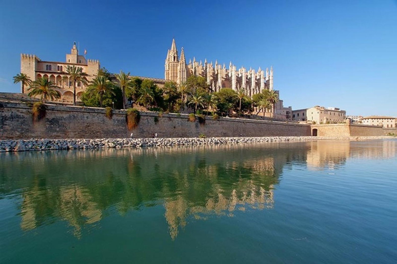 Spain - Palma Cathedral.jpg