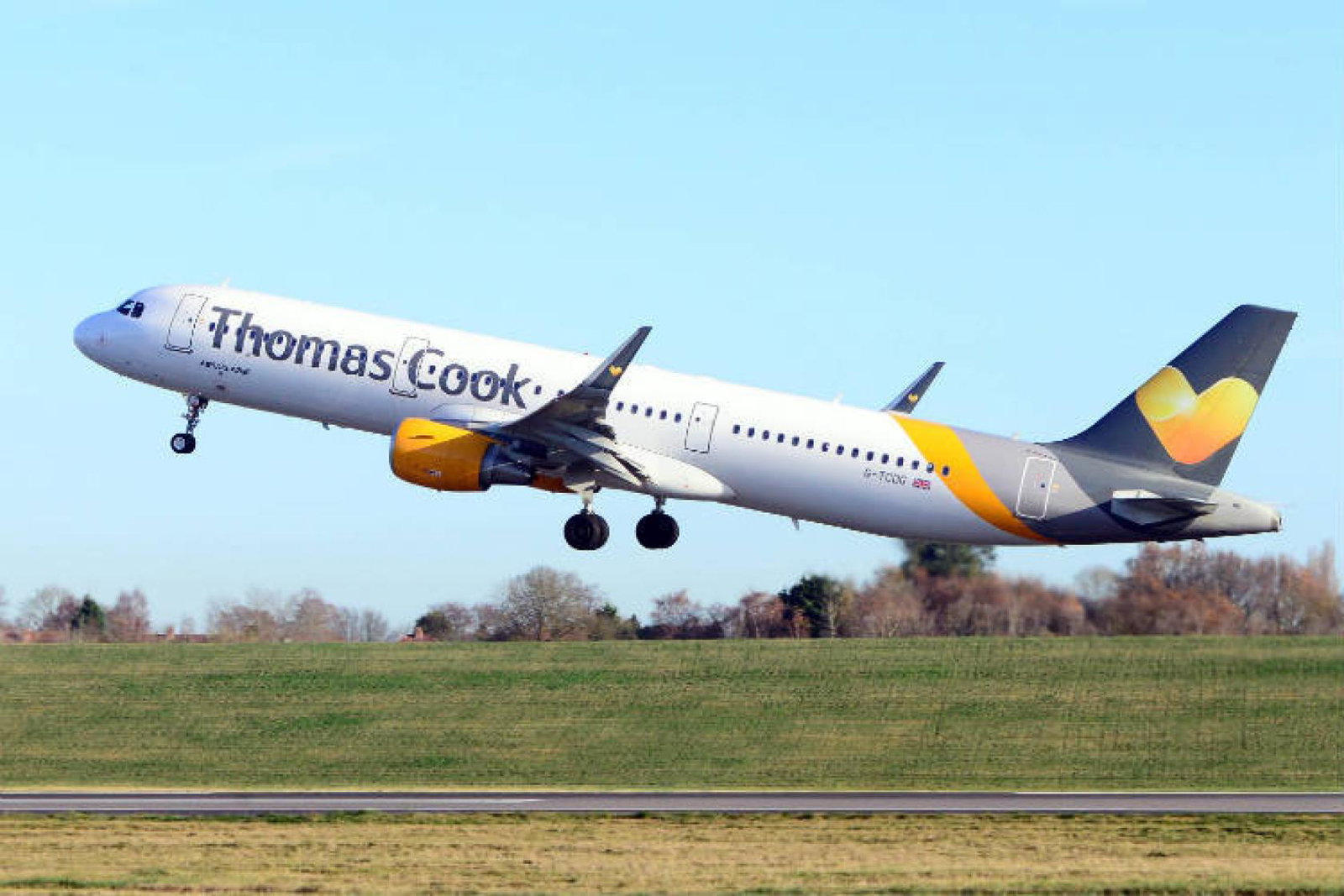 Group airline sale 'paused'