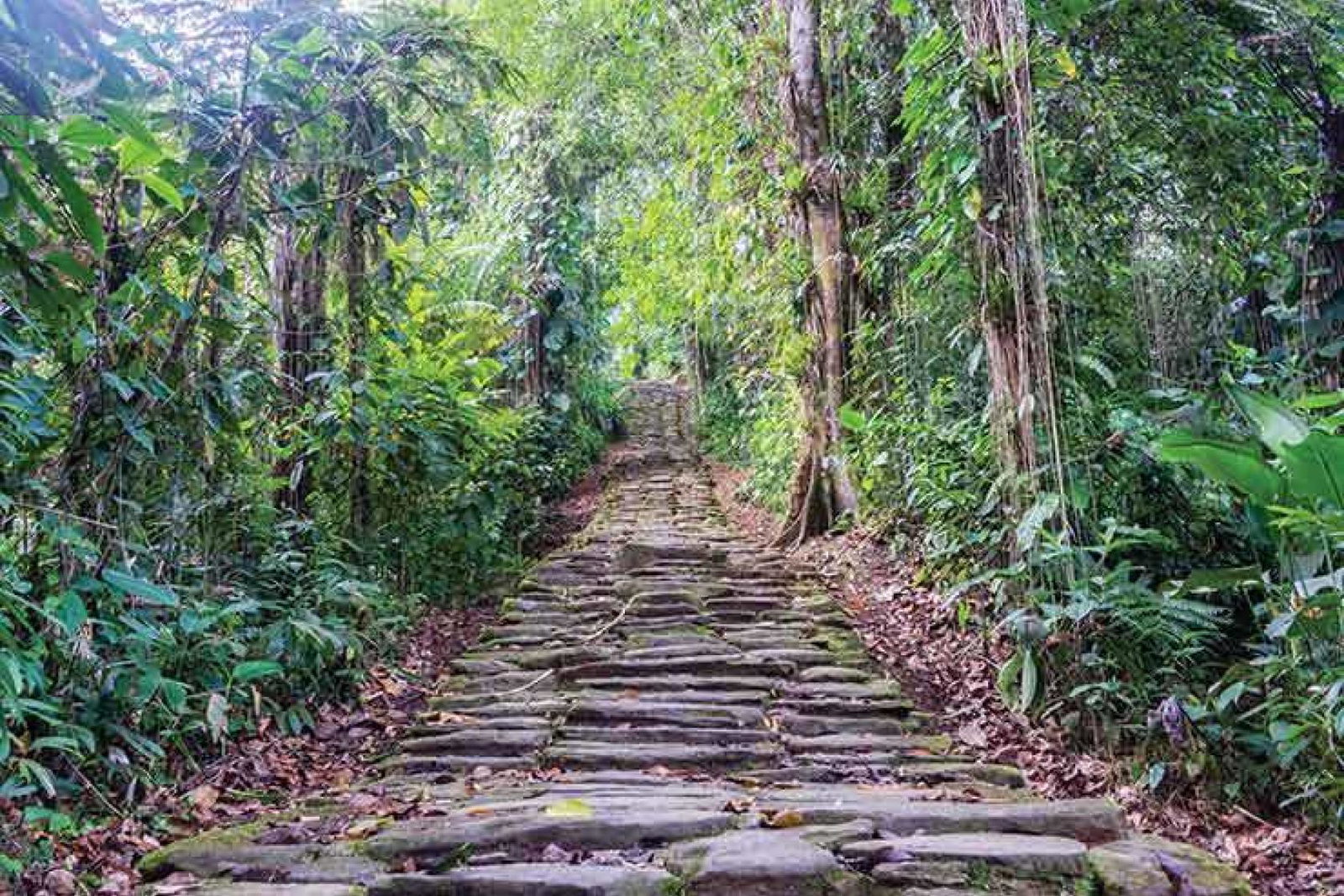 The Lost City Santa Marta Colombia