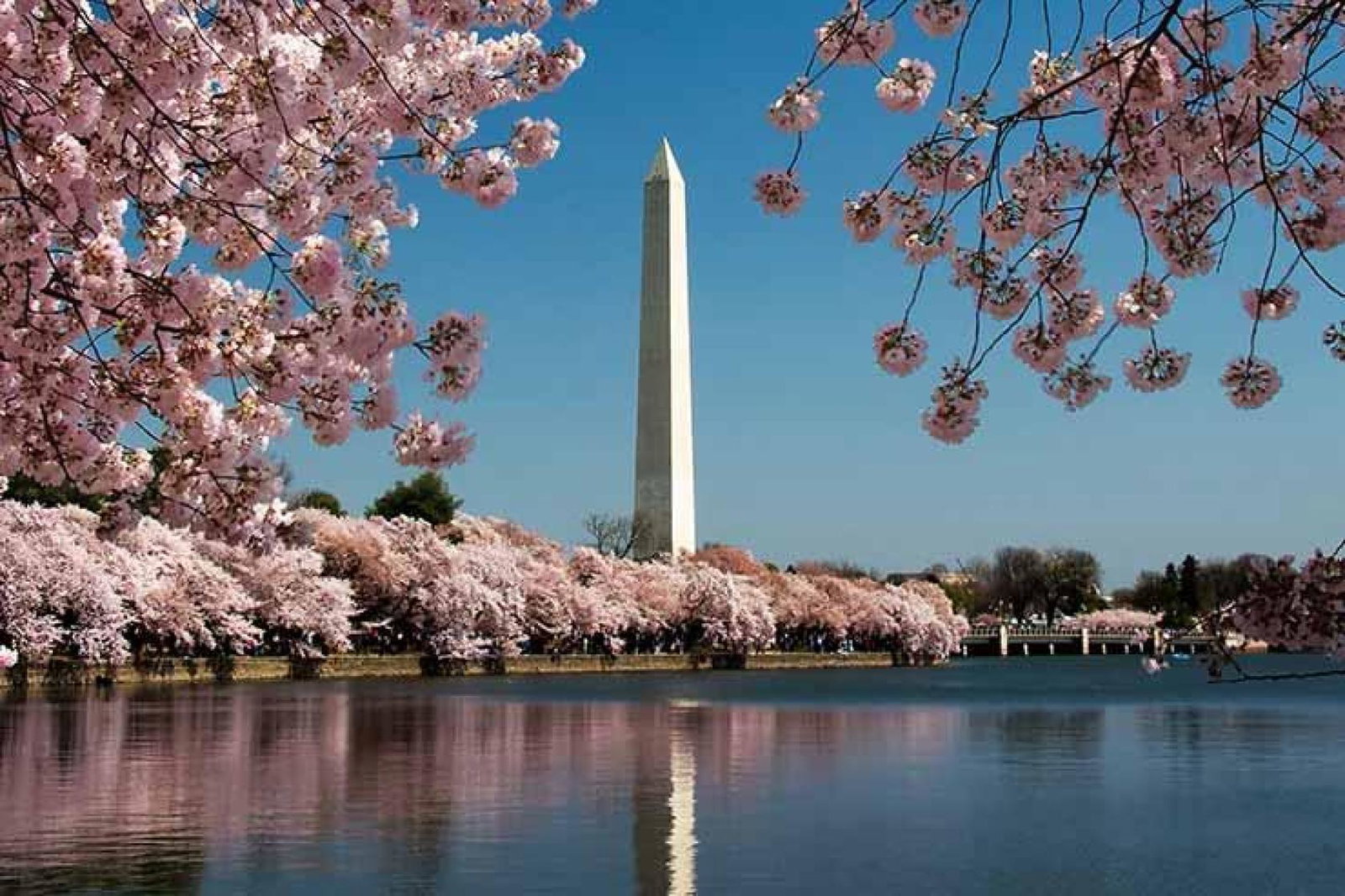 Washington DC