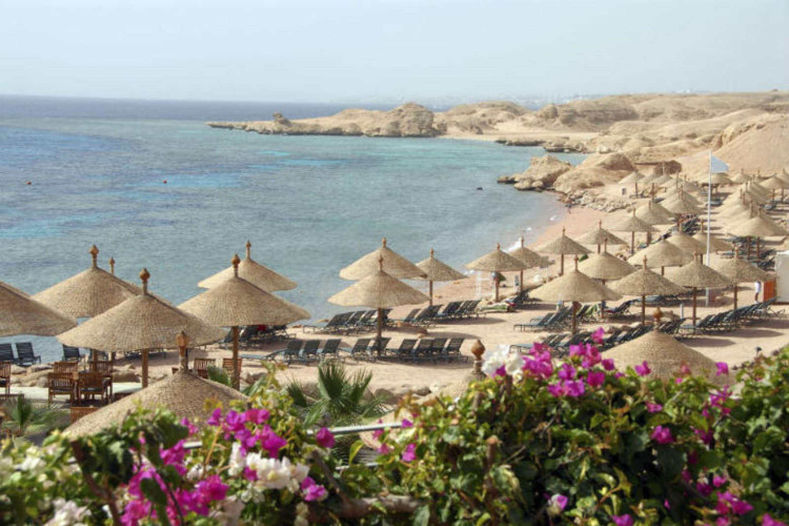 Travel 2 has returned to Sharm and will watch consumer demand heading into January