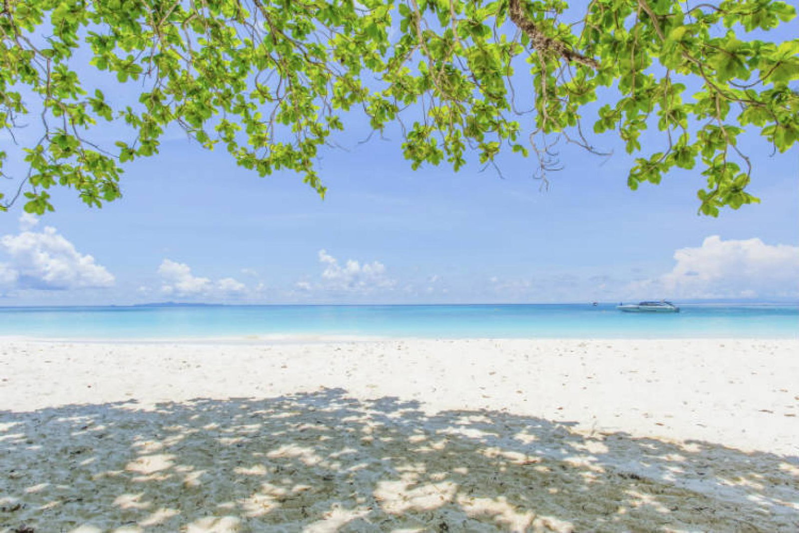 Koh Tachai Thailand beach