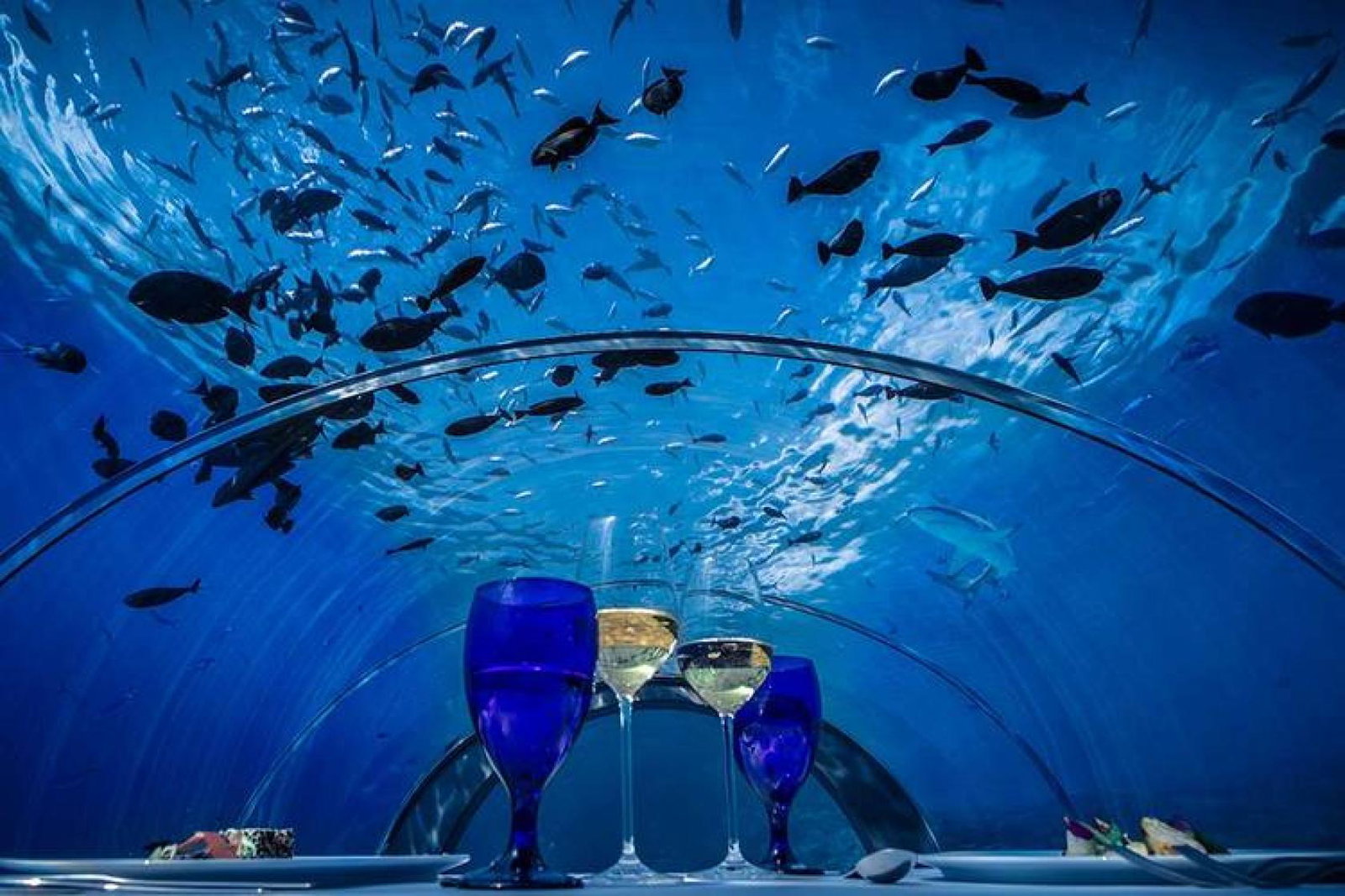 Hurawalhi5.8UnderwaterRestaurant3.jpg
