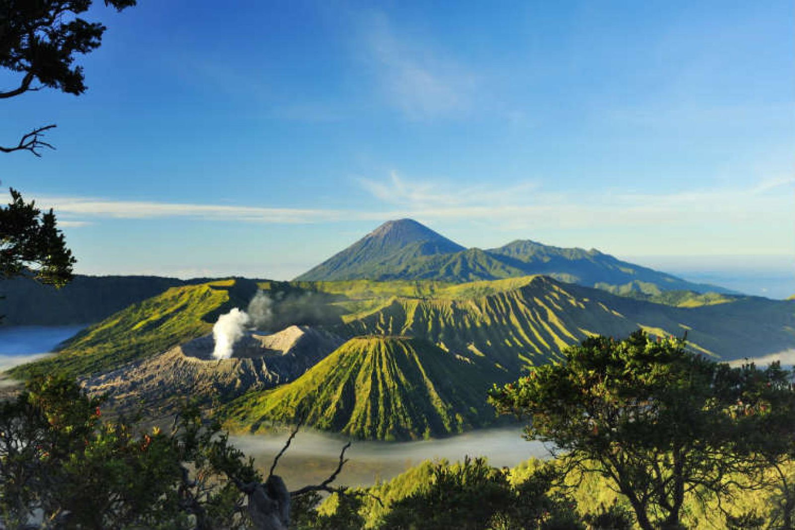 LSH_127067933_MountBromo.jpg