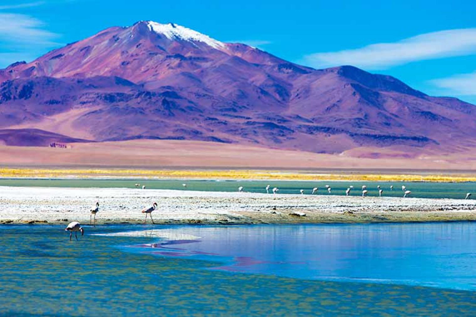 Atacama Desert Wendy Wu Tours.jpg