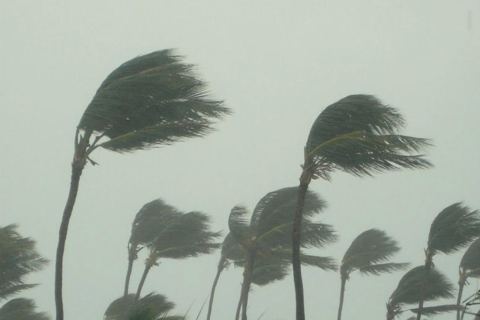 Hurricane-68635983_LARGE.jpg