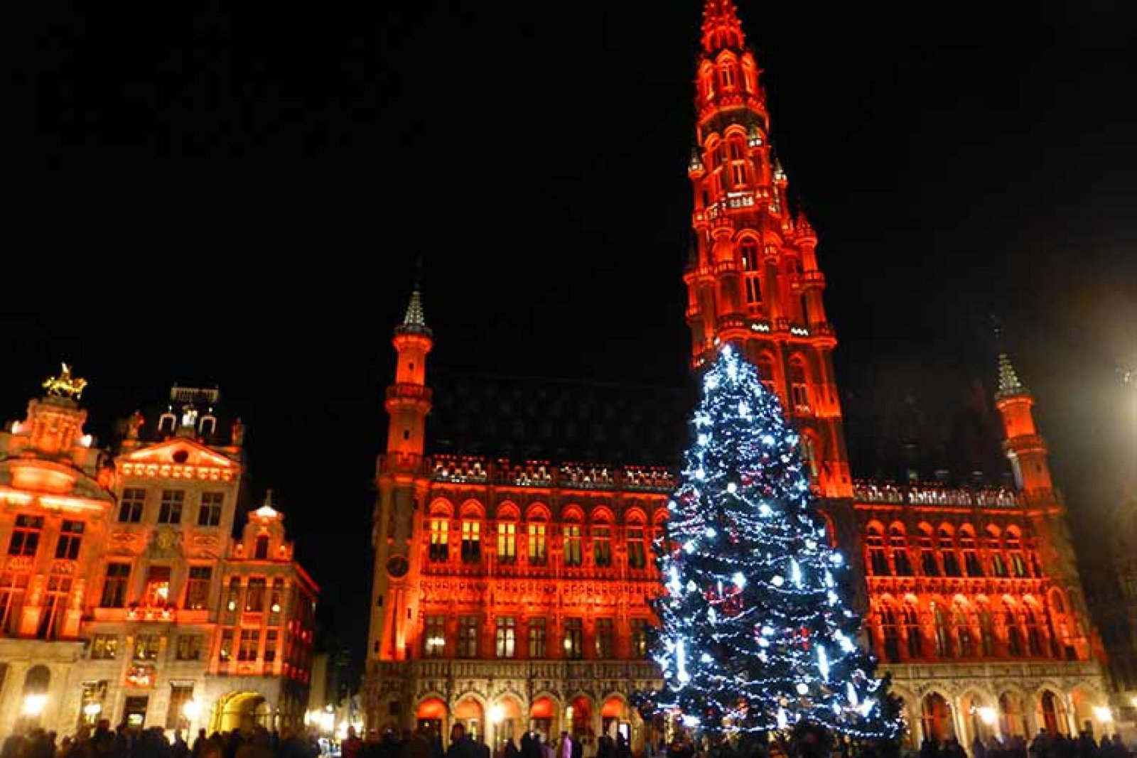 Brussels Christmas Grand Place.jpg