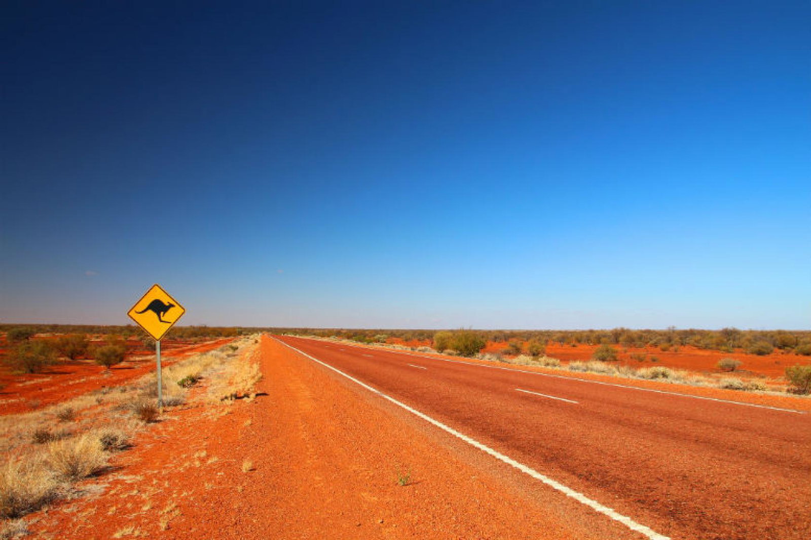 iStock- Outback.jpg