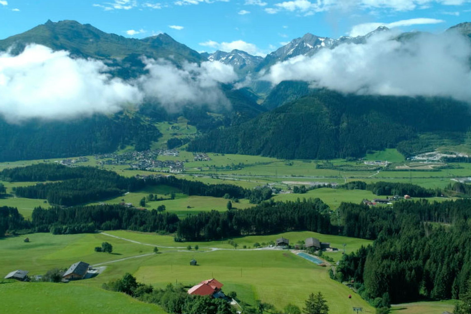 The firm specialised in European walking holidays, among other trips