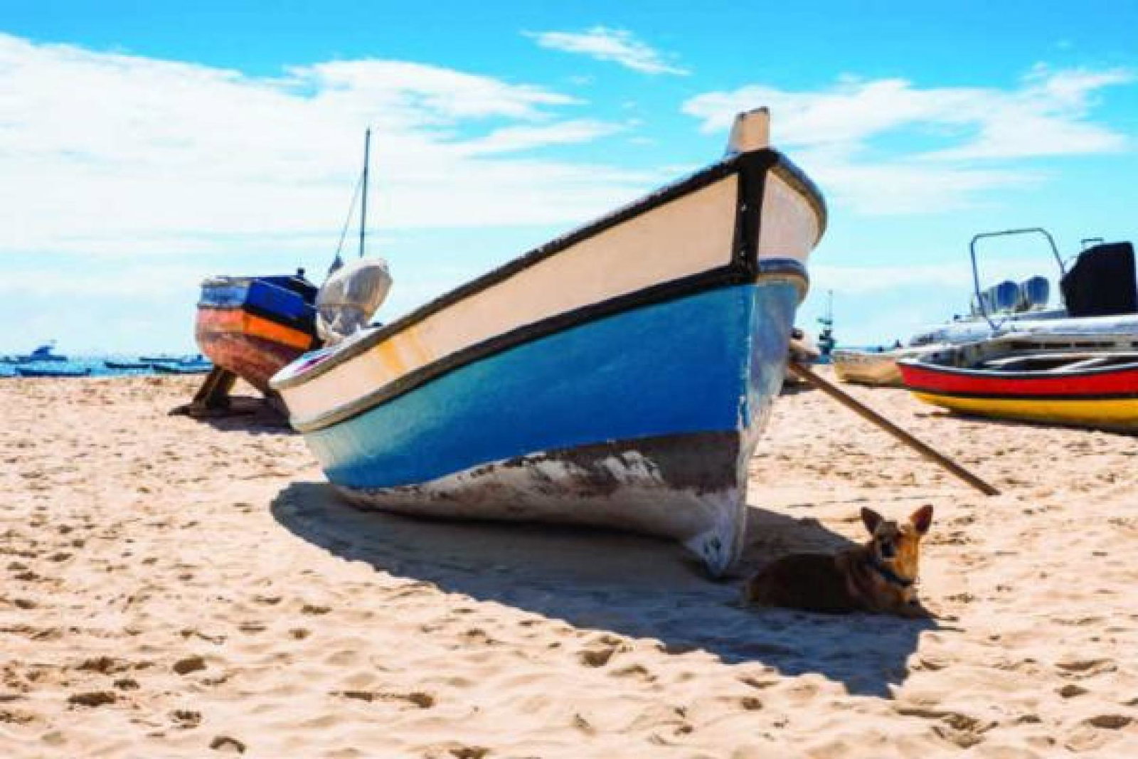 Cape Verde 2.jpg
