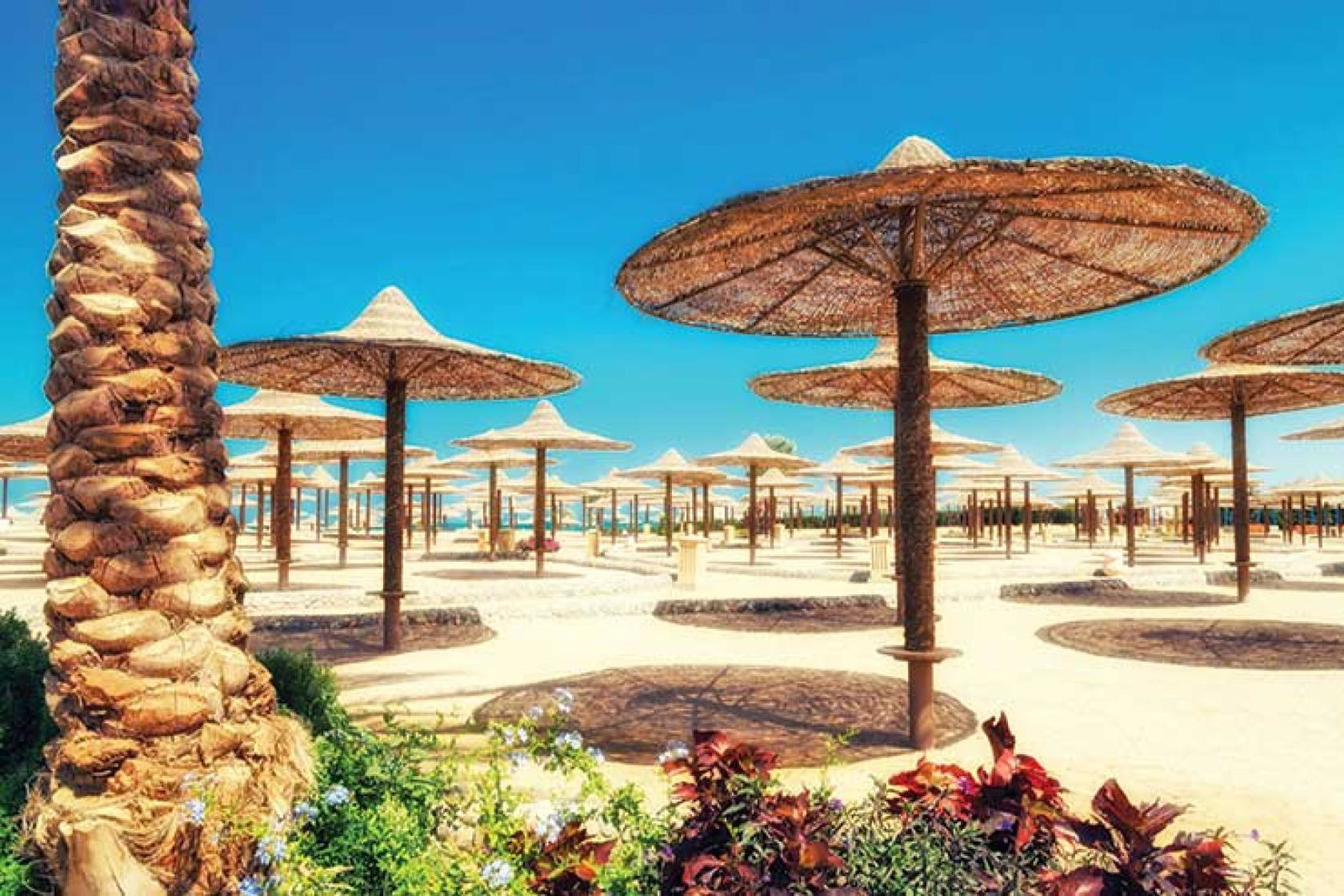 Marsa Alam on the map