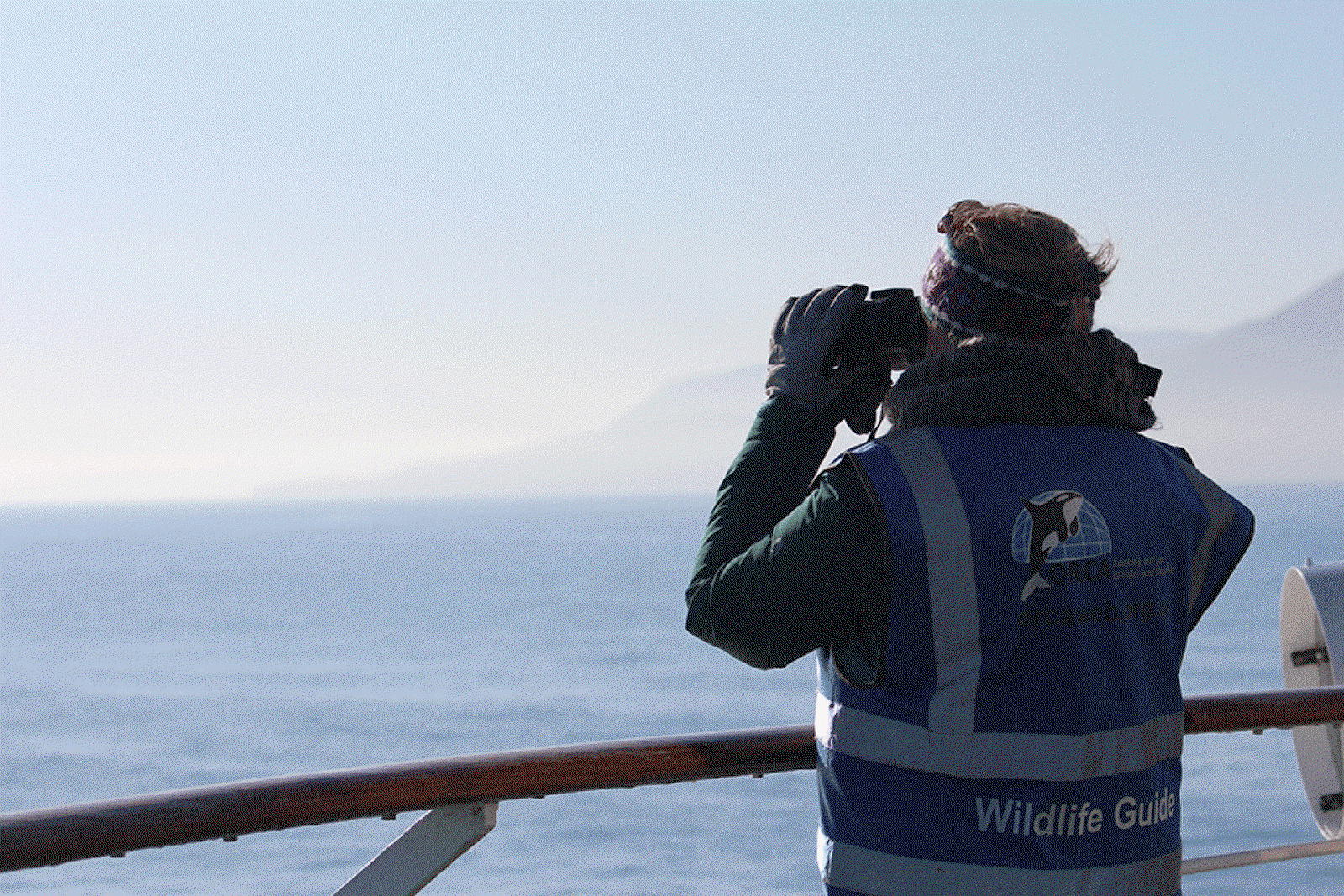 ORCA---Wildlife-Officer---Silver-Wind.gif