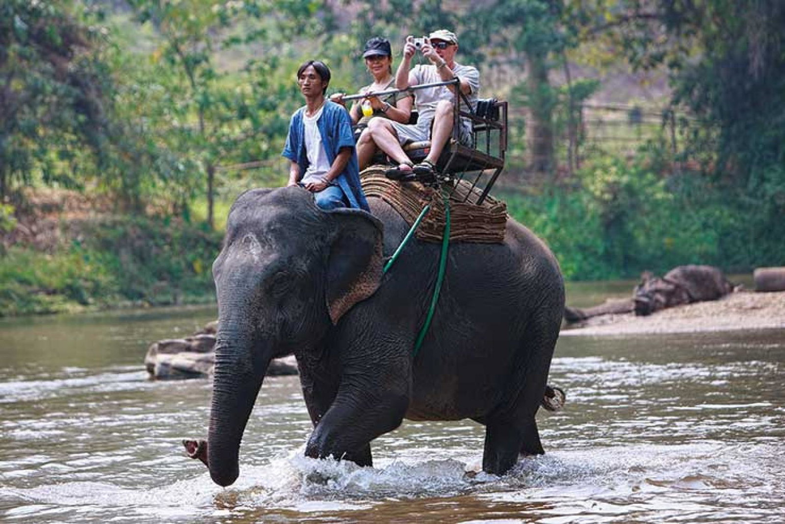 Elephant trek