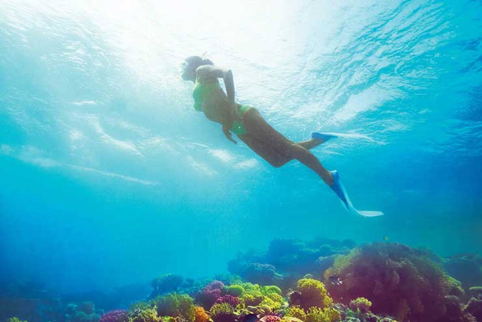 Hurghada diving