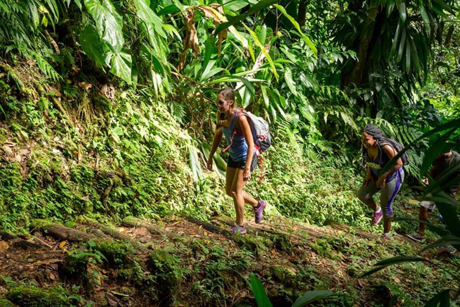 Waitukubuli National Trail, Dominica