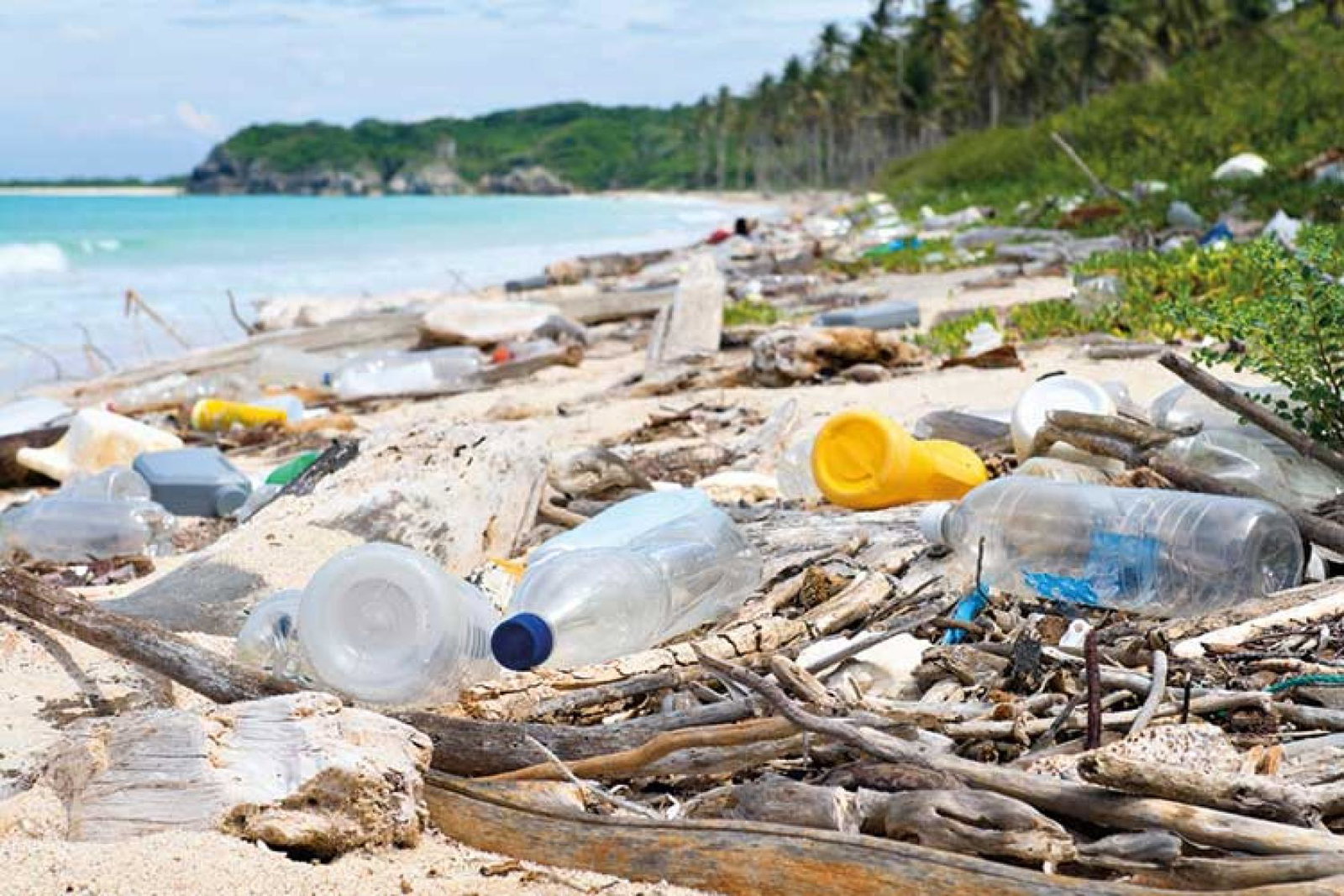Plastic junk washed up on a tropical beach