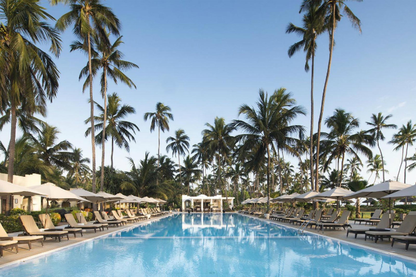 Dreams of Zanzibar.jpg