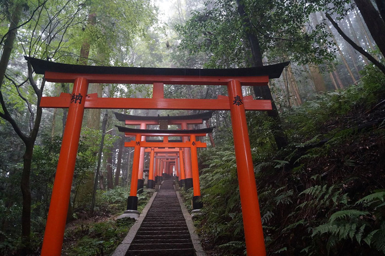 Japan