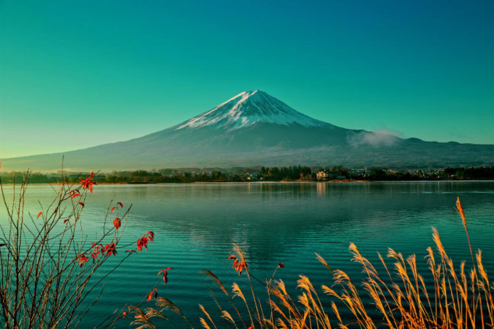 Japan's Mount Fuji