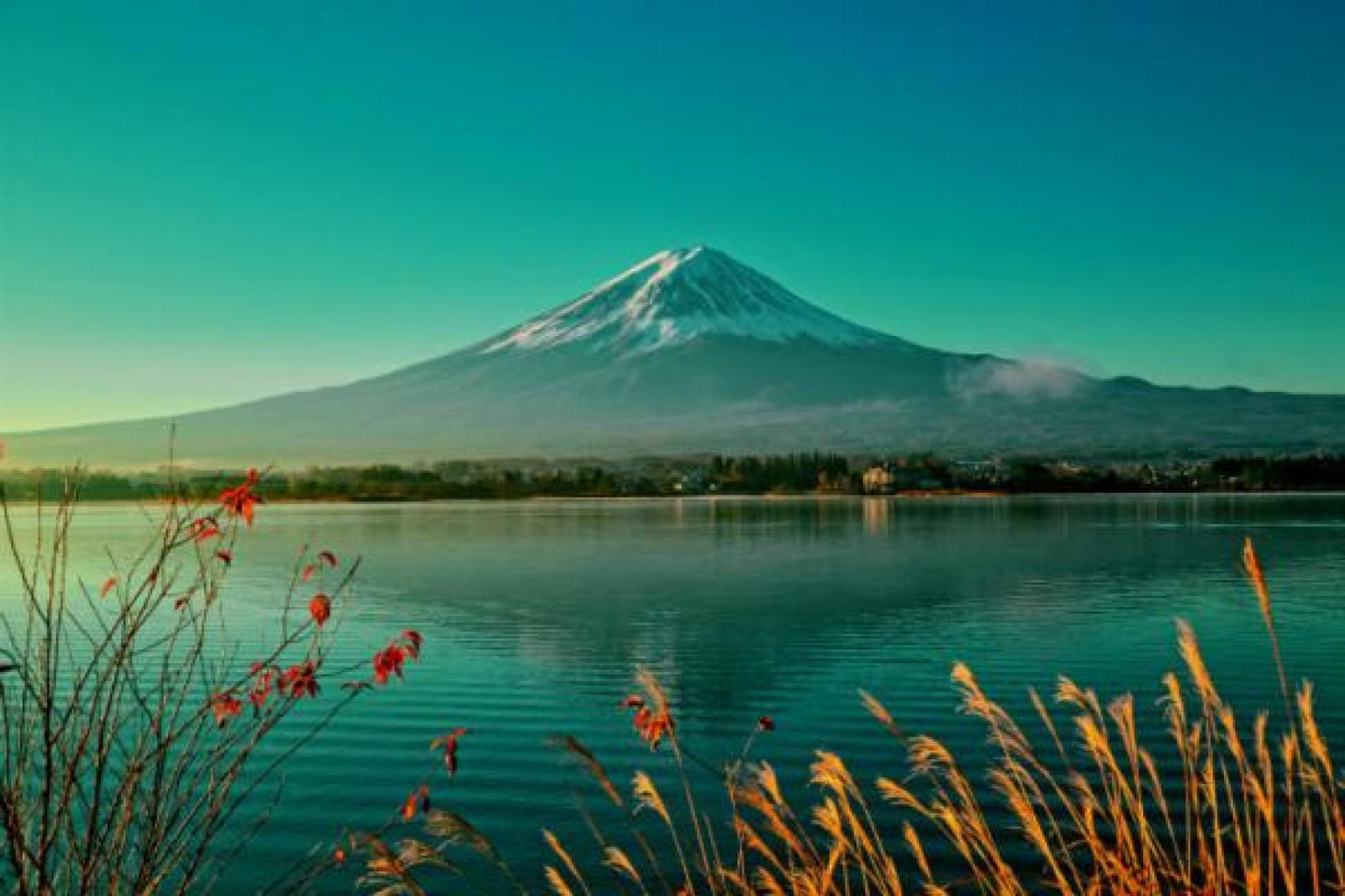Japan's Mount Fuji (Credit: Saga)