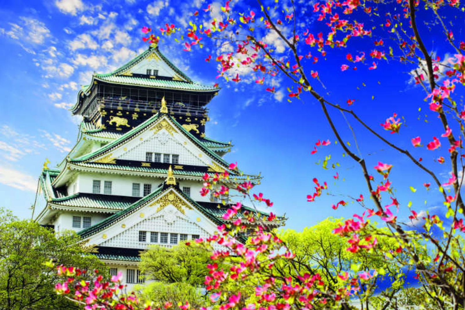 Top cruises for spring