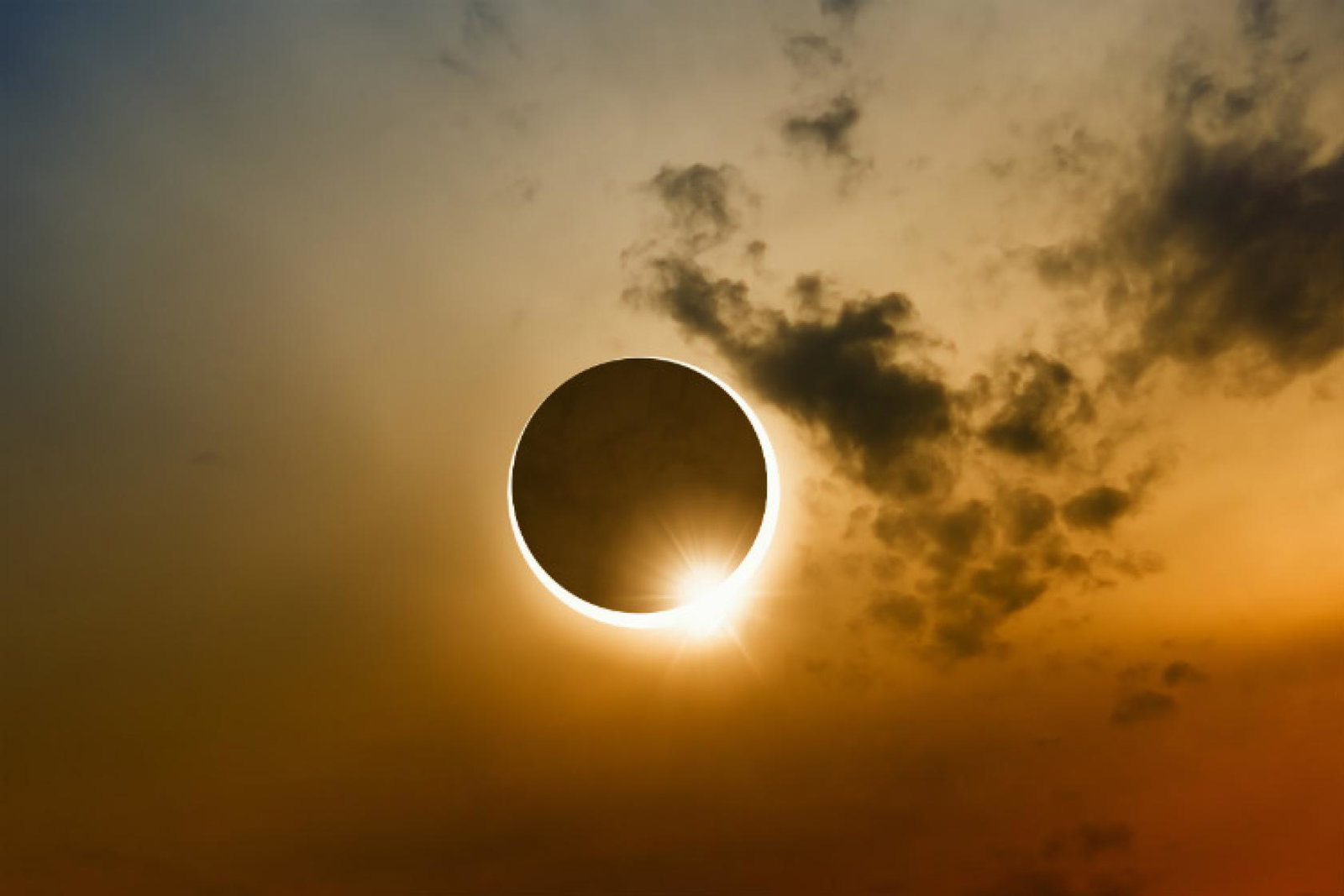 Wendy Wu eclipse