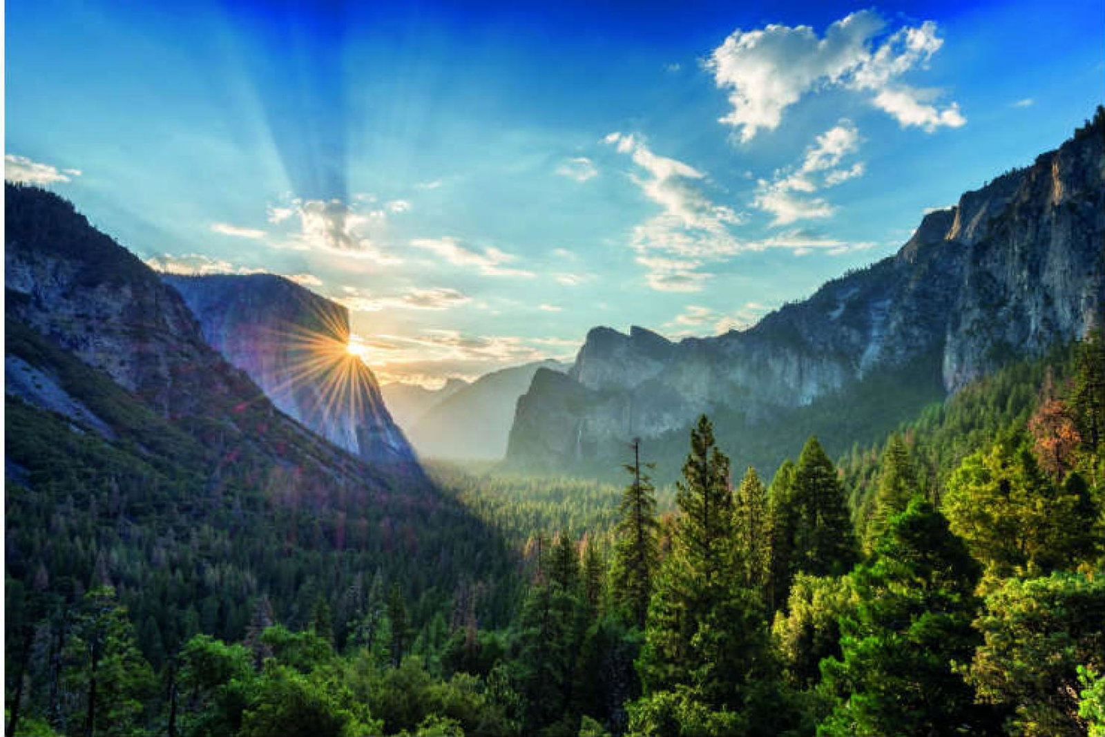Valley Floor