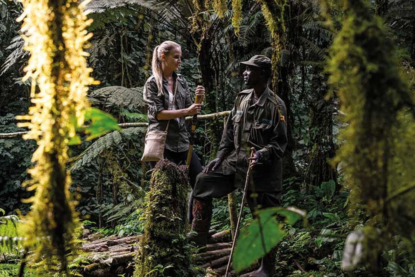 Pioneer jungle shot
