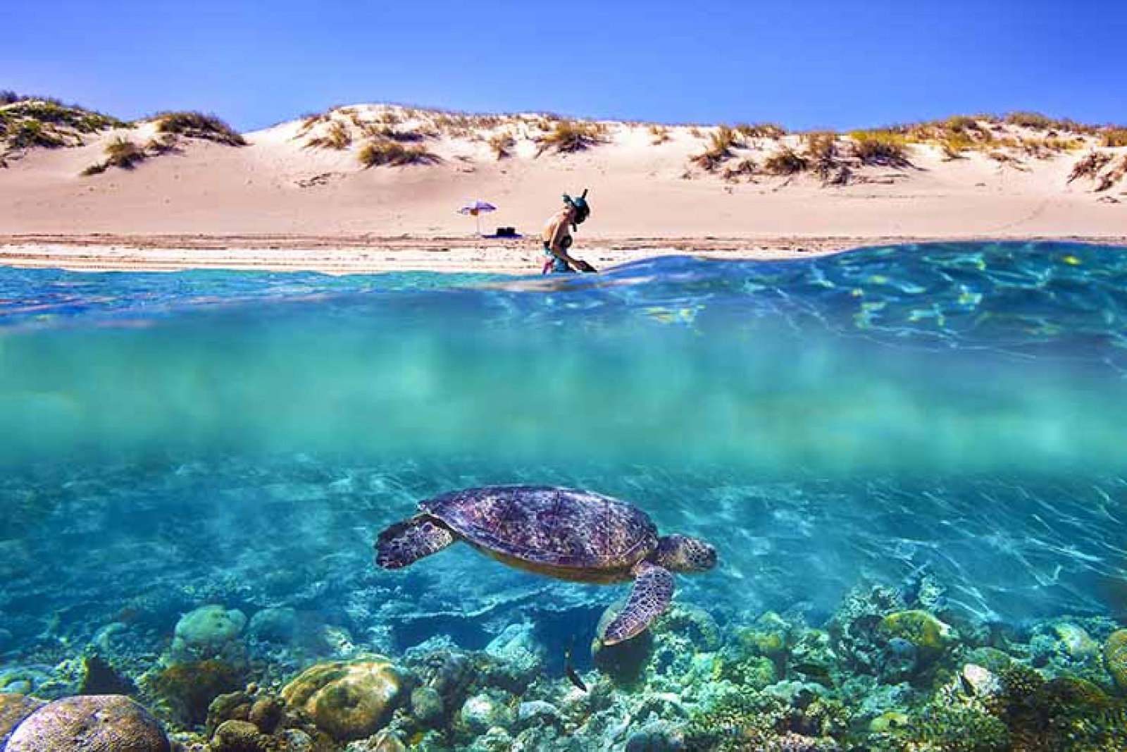 Ningaloo Reef