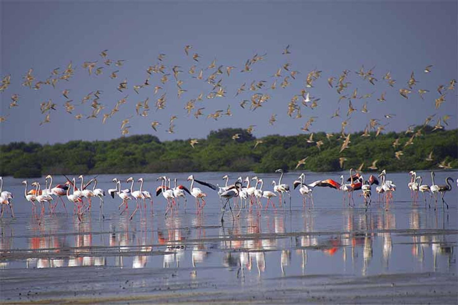 Al Zowra Ajman.jpg