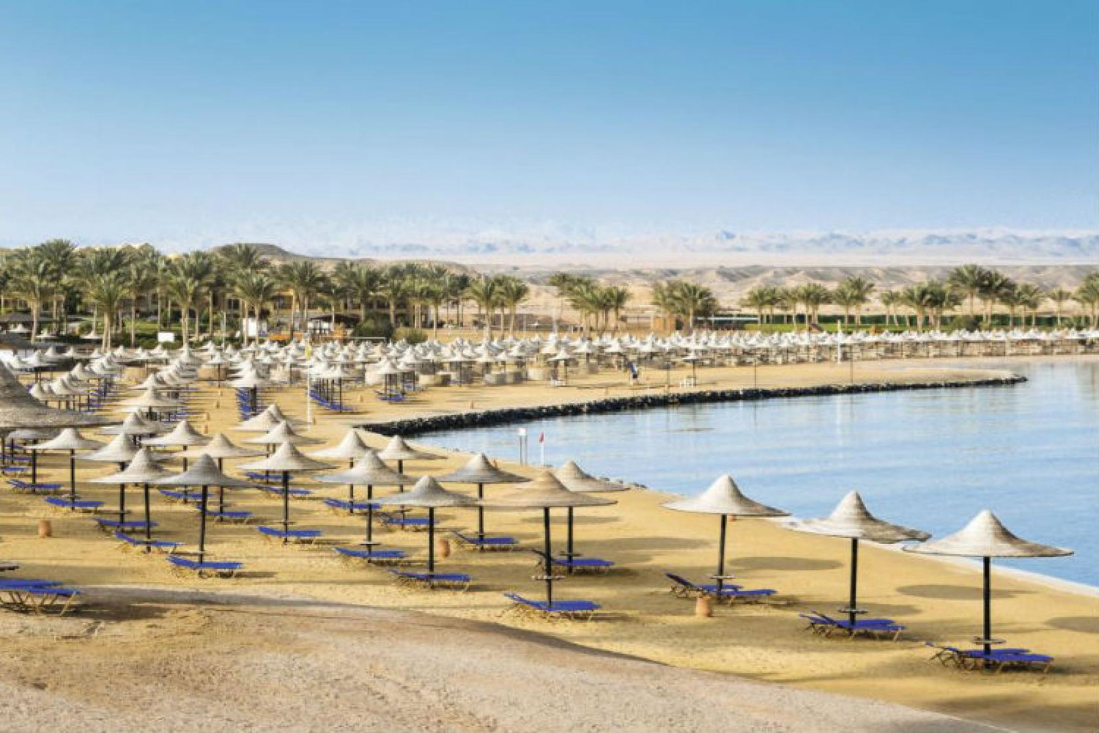 Tui Marsa Alam Alaya Web.jpg
