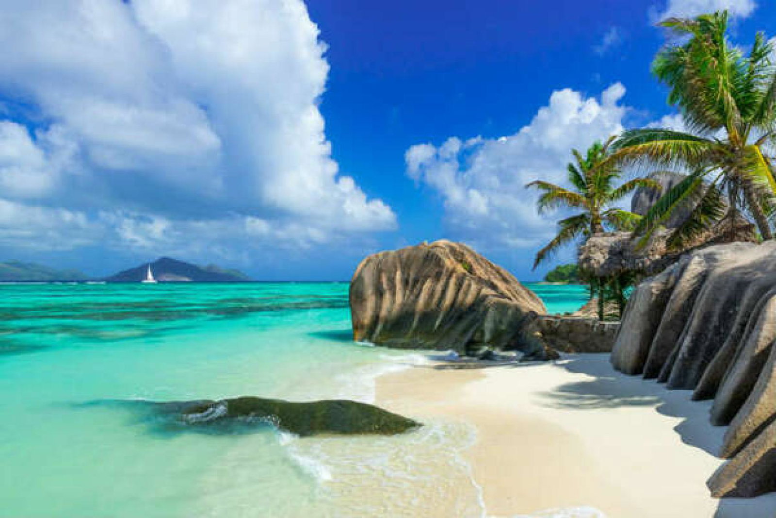 Seychelles - Beach.jpg