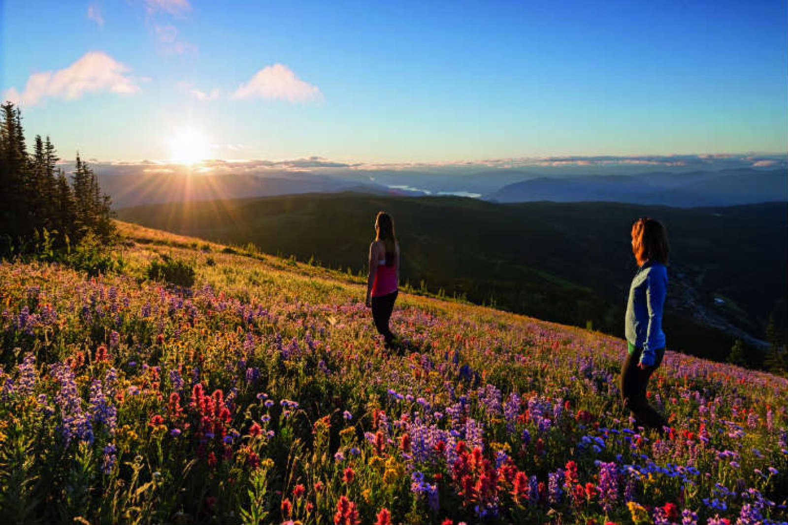 Abta says the new government must provide the travel sector certainty