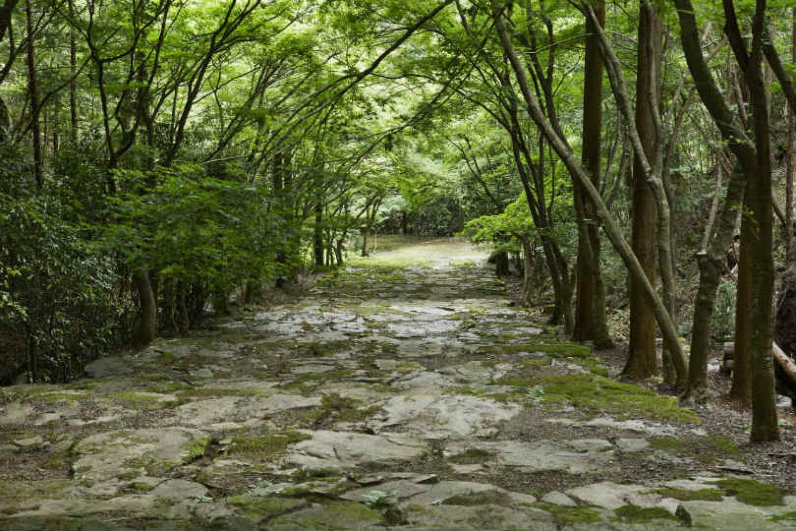 The gardens of Aman Kyoto