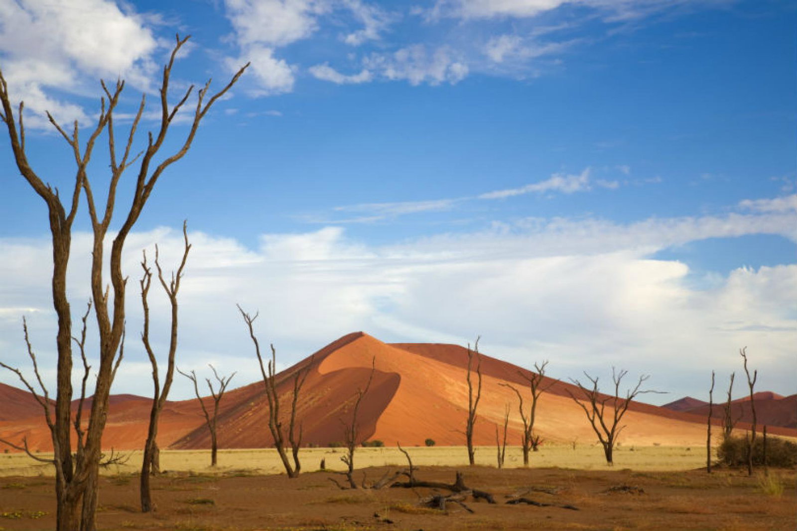 Namibia is one of two African destinations to be granted a travel corridor with the UK