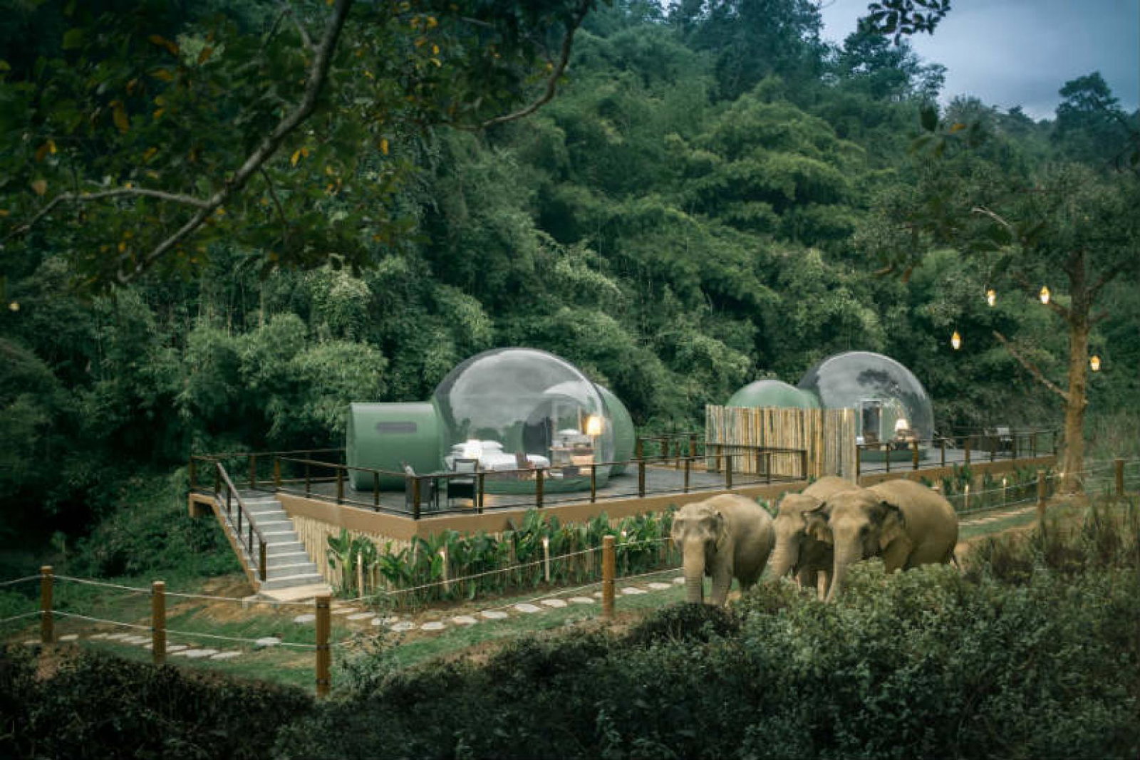 Anantara's Jungle Bubbles are fully air-conditioned