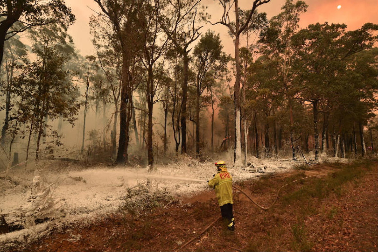 Australia is currently in the midst of a bushfire crisis