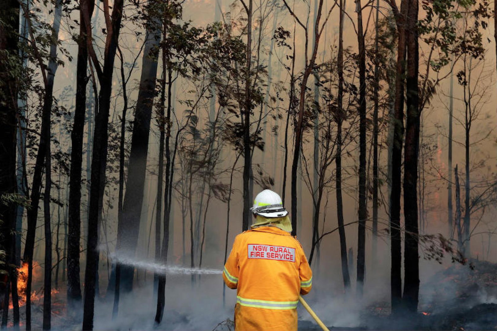 Wednesday was reportedly the hottest night for Perth in seven years, with temperatures dropping to just 26.8C at 5.30am (Credit: Rick Rycroft / AP Shutterstock)