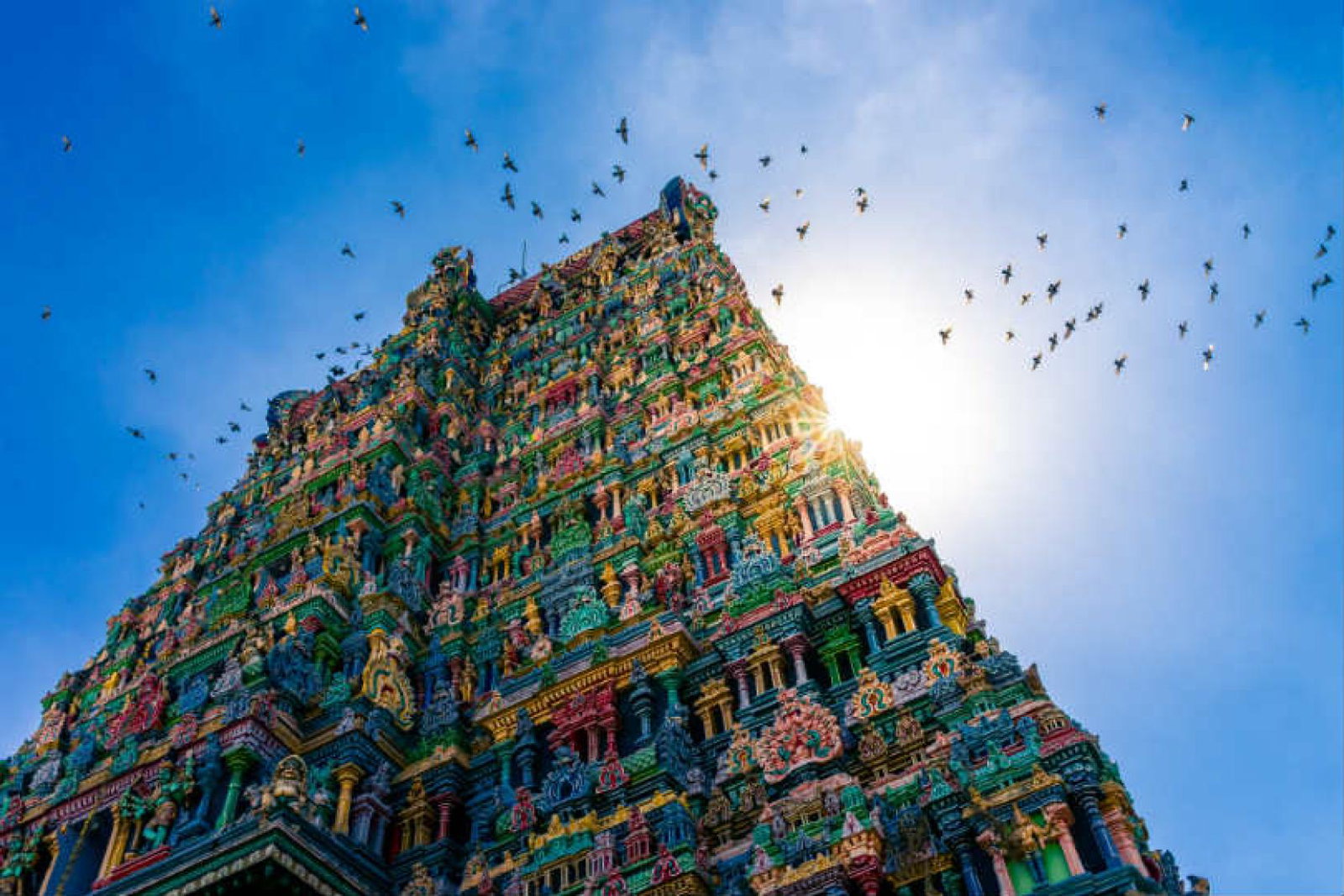 India, Thailand, Kenya, Costa Rica and Japan trips have all seen an increase in demand