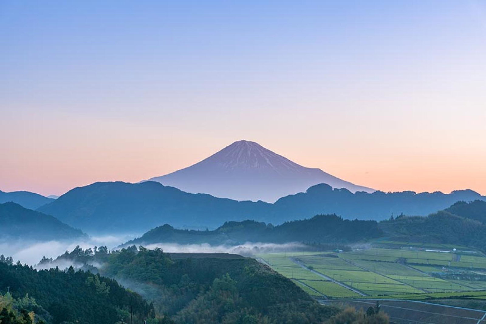 Wendy Wu's tours of Japan will resume on 26 July