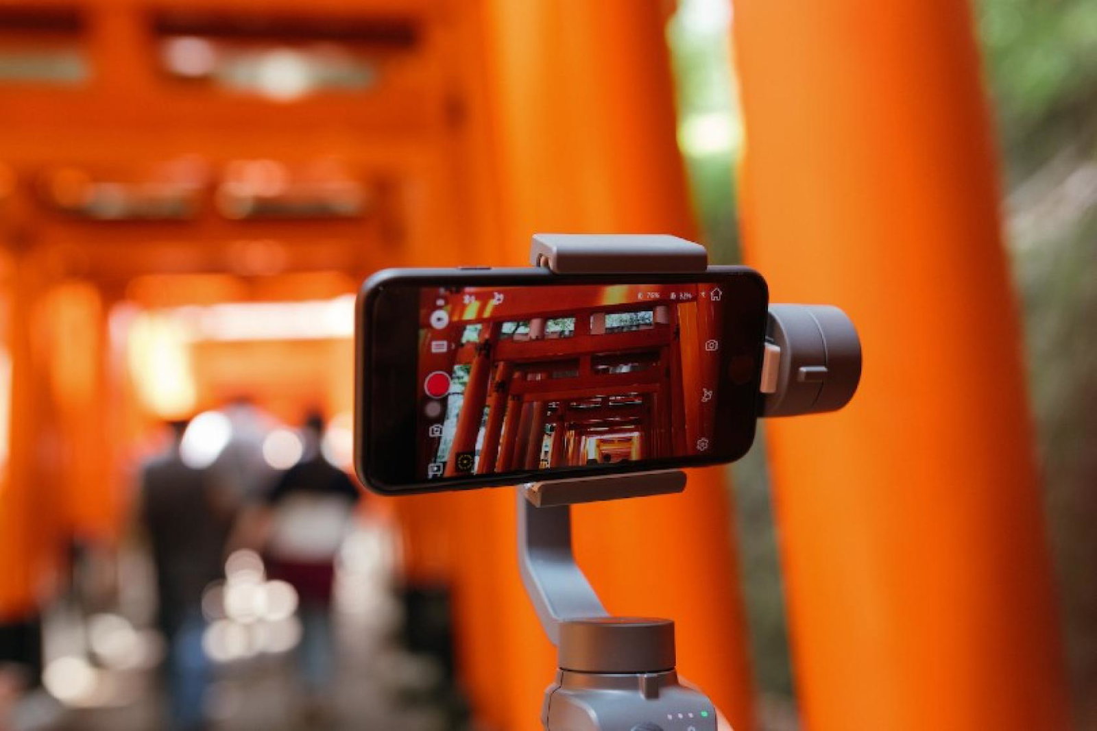 TTNG members will have access to a new social media video tool (Credit: Joey Huang / Unsplash)