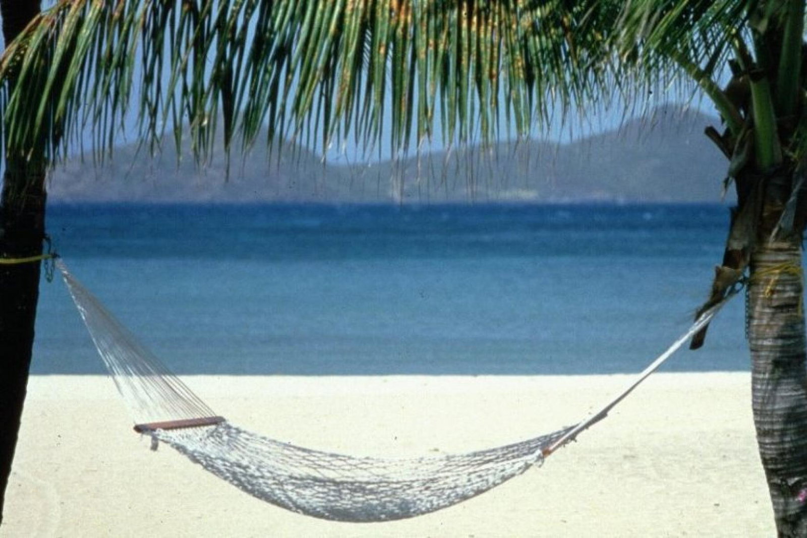 The new organisation said it aims to 'help agents and consumers' arrange travel to and within the Caribbean islands