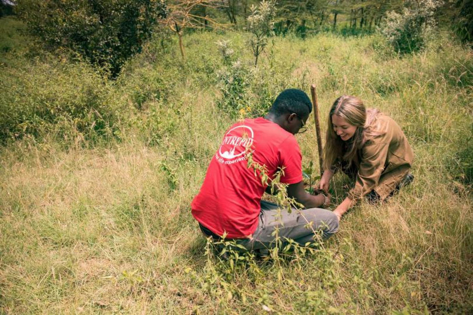 Offset Earth has now helped plant more than 100,000 trees in Kenya's Kijabe Forest