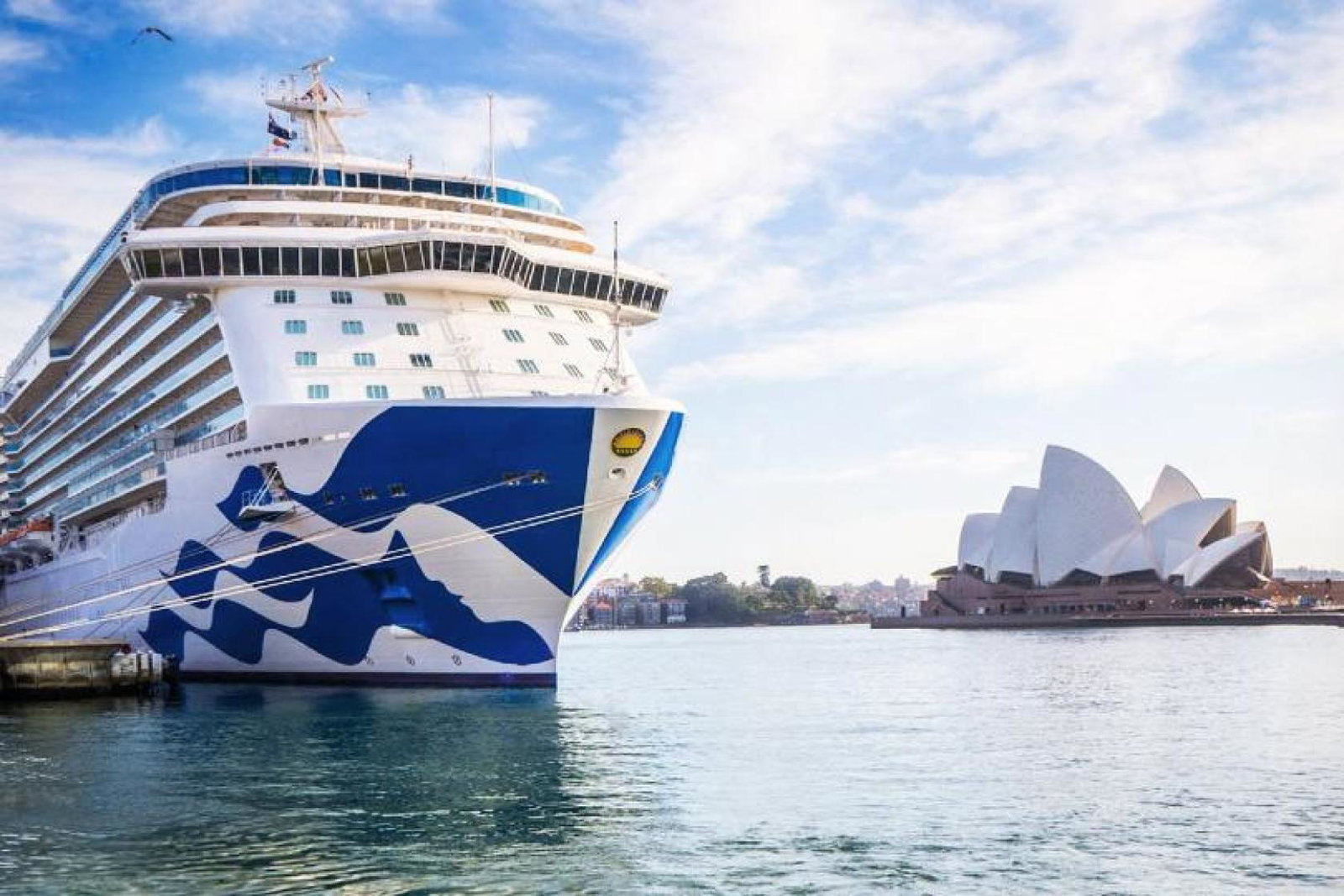Princess Cruises has extended its pause in Australasia operations until 12 December (Credit: Princess Cruises)