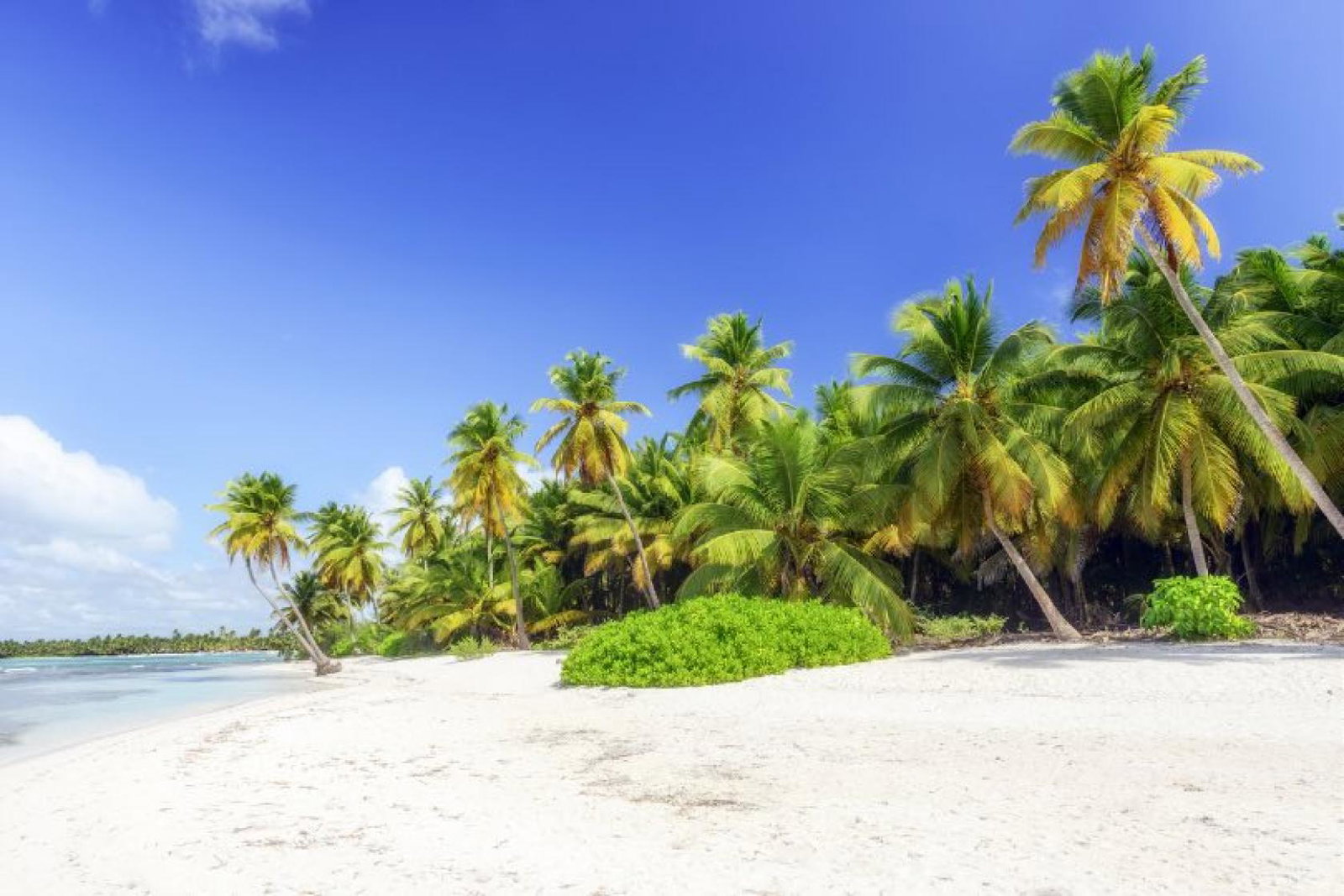 Sandals believes the Dominican Republic has potential for its brand