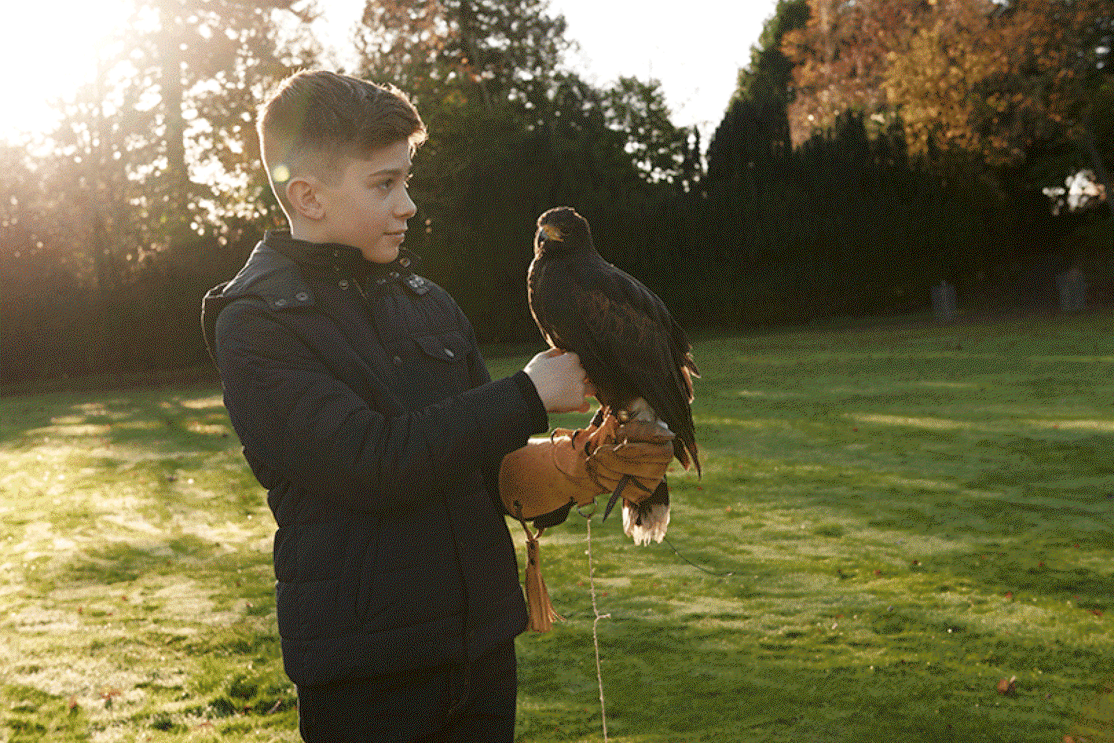 Gleneagles offers falconry for children