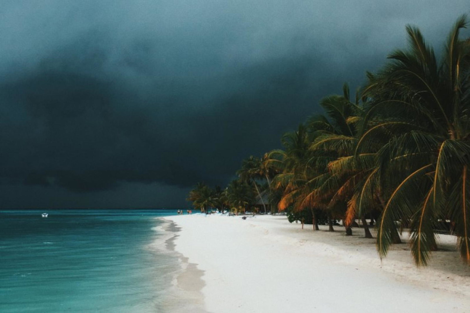 Winds of up to 60mph are forecast (Credit: Ibrahim Rifath / Unsplash)