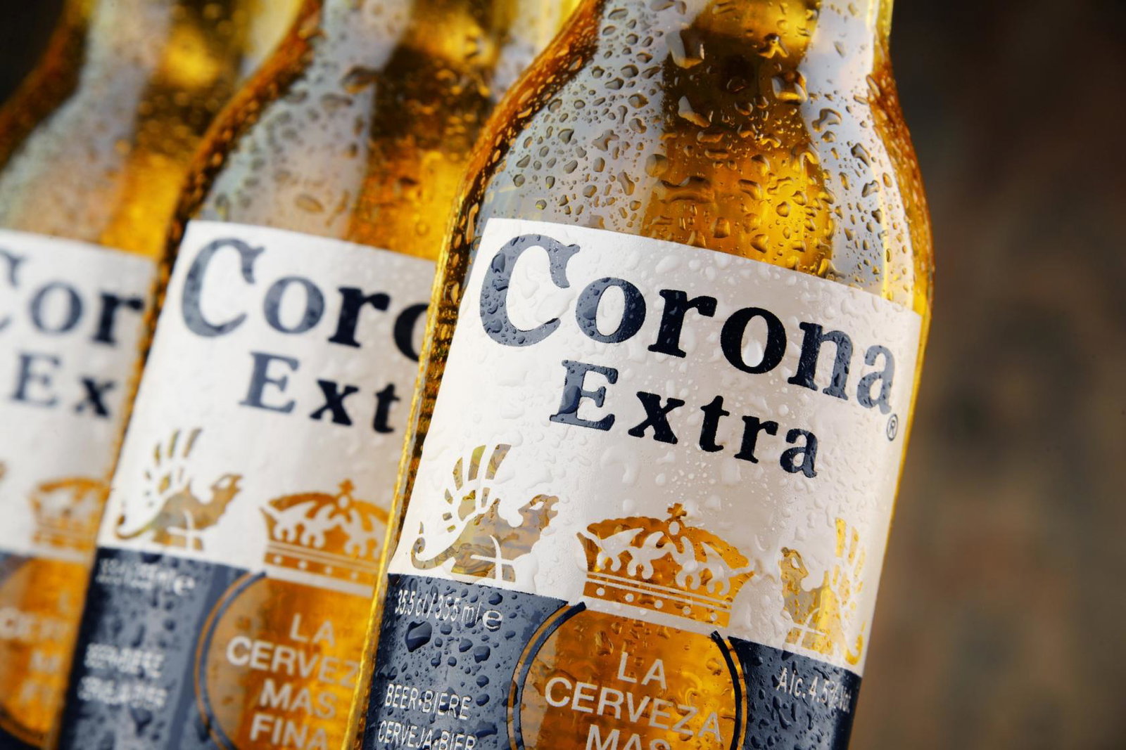 Corona_beer.jpg