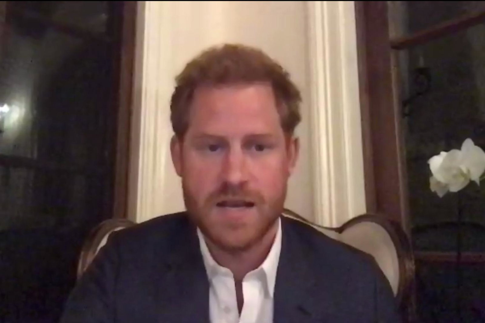 The Duke of Sussex urged travel businesses to “reshape” the sector post-Covid
